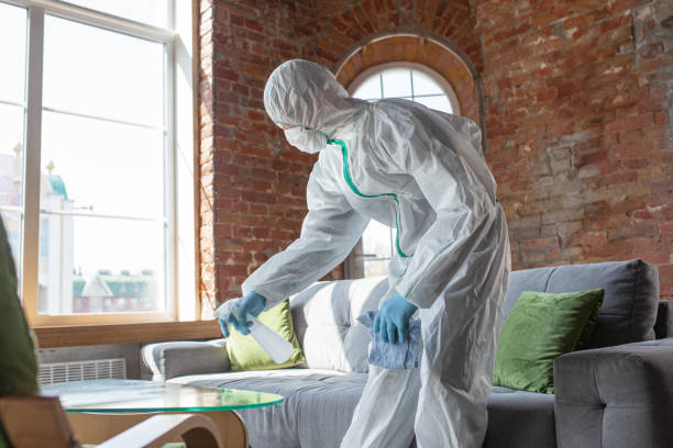 Why You Should Choose Our Mold Remediation Services in Highland, MD