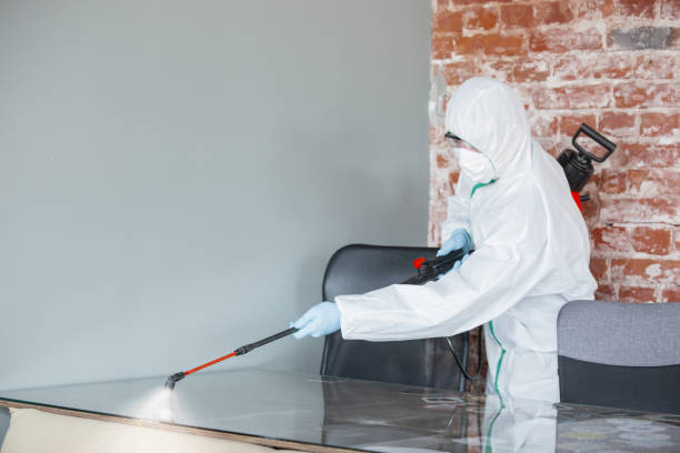 Mold Remediation for Rental Properties in Highland, MD